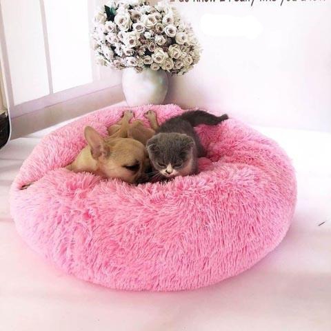 The Ultimate Orthopedic Soothing Pet Bed - Chew proof indestructible large dog & cat bed - 5econds.co