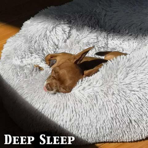 The Ultimate Orthopedic Soothing Pet Bed - Chew proof indestructible large dog & cat bed - 5econds.co