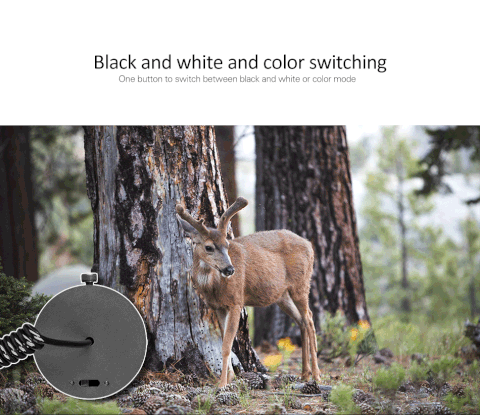 Clear Vision Scope™ - 850nm Infrared LED IR Night Vision Riflescope Hunting Scopes Optics Sight Waterproof Hunting Camera Hunting Wildlife Night Vision - 5econds.co