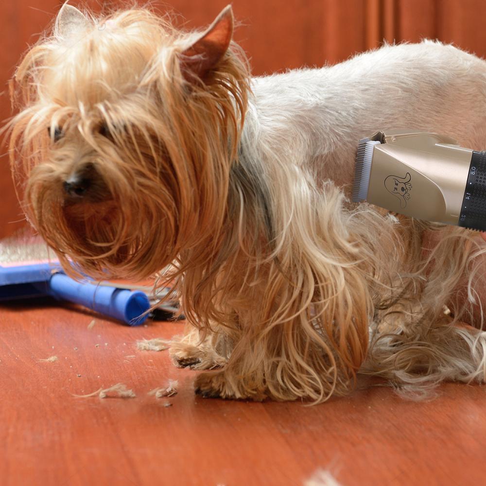 Noise-Free Design Pet Hair Clipper - Rechargeable Dog Trimmer Animal Grooming Cat Cutter Machine Shaver Electric Scissor Remover Haircut - 5econds.co