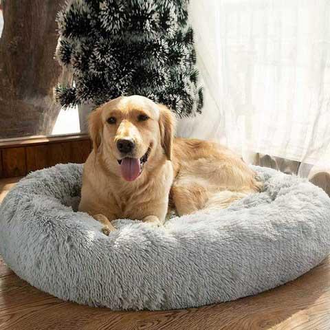 The Ultimate Orthopedic Soothing Pet Bed - Chew proof indestructible large dog & cat bed - 5econds.co